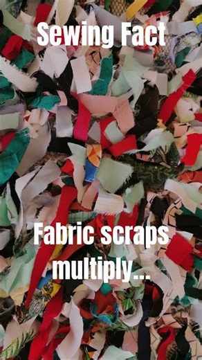 Why Do Fabric Scraps Multiply So Fast?