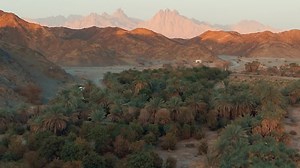 67K views · 304 reactions | #NEOM will set the benchmark for exceptional livability, providing a high quality of life. Like NEOM to find out more. #DiscoverNEOM | NEOM | Facebook