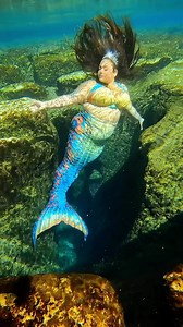 483 reactions · 33 comments | Happy international mermaid day!!! My hair was paid for this video so show her some love  lol • • 隆‍♀️ @all_thingz_mermaid 瑱 Tail and top by @mertailor #mermaid #mermaids #plussizemermaid #plussizerepresentation #florida #floridasprings #springs #floridamermaid #mermaidlife #mermaidhair #underwater | Danielle Cecil | Facebook