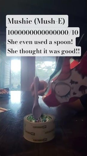 rating my dragons eating| #bringbackfairytok #fairy #cute #fairyhunters #paperdragon #dragon #puppet