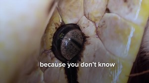 58 reactions | Master in-demand tools like Python, MySQL, Hadoop & MongoDB with online Machine Learning programs powered by upGrad. Get expert mentorship as well as job placement assistance with top firms. | upGrad | Facebook