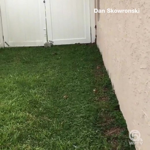 1M views · 4.5K reactions | CRAB INVASION | Just when you thought...