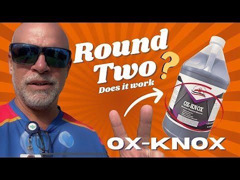 Does OX Knox Work? Round Two Oxidation Removal Test!