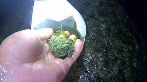 428K views · 8.7K reactions | Lukot Adventure | MarjonTv | Facebook