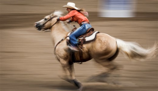 Here's how to be a 'real cowboy' at the Calgary Stampede