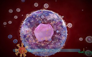 CellSearch Technology