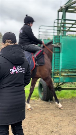 With the two-year-old races starting here in France next week, preparations are in full swing 🙌🏼🐎