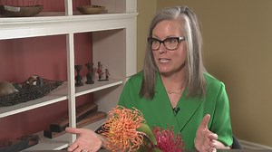 Governor rejects bill trying to stop China from purchasing Arizona land