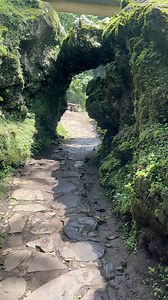 71K views · 1.4K reactions | Welcome to Jurassic Park in Bandung, West Java 珞 #nature #naturelovers #naturephotography #westjava #indonesia | Syarif Nova | Facebook