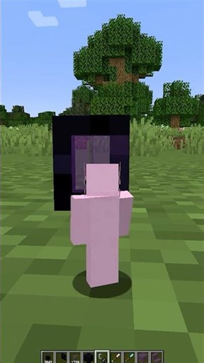 SMALLEST nether portal ever made