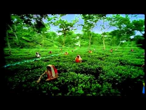 Maasranga TV Bangladesh Television TV Online Watch TV Live Free Channels Broadcasting on the