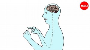 How do pain relievers work?