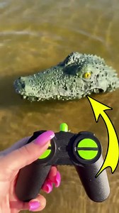 Experience buying a real crocodile head from the Internet 😲😲 | Saddam alezzi