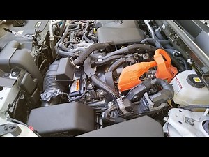 Cleaning and Washing Engine bay on Toyota Rav4 Prime. You'll have to do it sometime. Easy Peasy 😀🚙👍