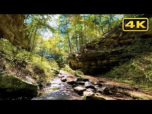 Sunny Lush Forest Walk at Turkey Run State Park - 4K Virtual Tour