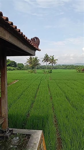 Urang sunda kamarana, wilujeng wayah kieu.. #barayasunda #panulisan #searchinsightcreators