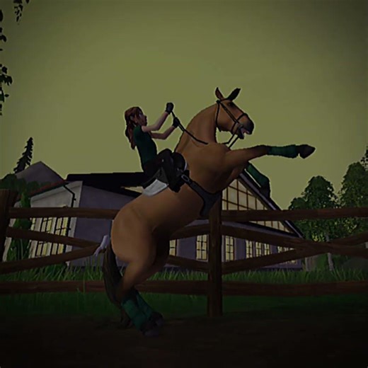 no shader i swear! that's a bug in sso