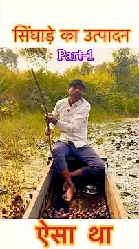 Part-1 How is water chestnut cultivated? Water chestnut farming process #this was #watersportsindia