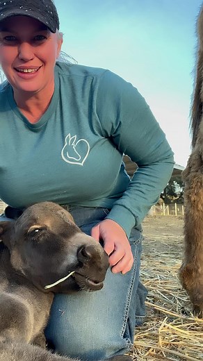 The Donkey Farrier Life is a Sweet One! 💜 Here I show how to align the donkey ear chakras and break down the steps for baby donkey massages. 😂 #chakras babydonkey #foal #farrier #donkeyfarrier #donkeys Oscar’s Place Adoption Center & Sanctuary | The Donkey Farrier - Megan Hensley