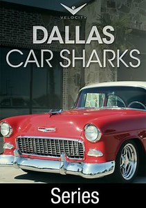 Dallas Car Sharks: Get Your Motor Running