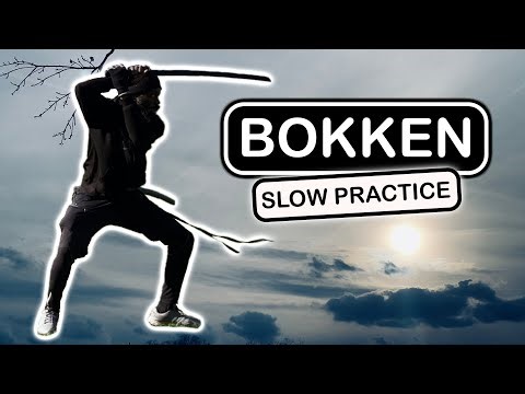 Bokken Training Slow Exercise