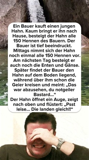 🐓 Warum die Geier zu früh gefeiert haben
