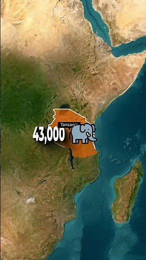 Top 5 Countries With The Most Elephants 🐘🌍