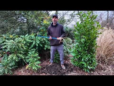 The garden claw cultivator