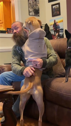 Imagine walking into a room and seeing this. My dog thinks she’s the wife sometimes 🤣 In all fairness, we did teach Rosie how to hug early on. She’s my trained medical alert service dog so she can get whatever she wants. Also, she legit cries to wear her Comfrt Hoodie if there’s even the slightest breeze outside. I also have the matching set 😂@Comfrt Paws we need to check the site for more matching sets #comfrt #comfrtclothing #dog #dogsoftiktok #funny