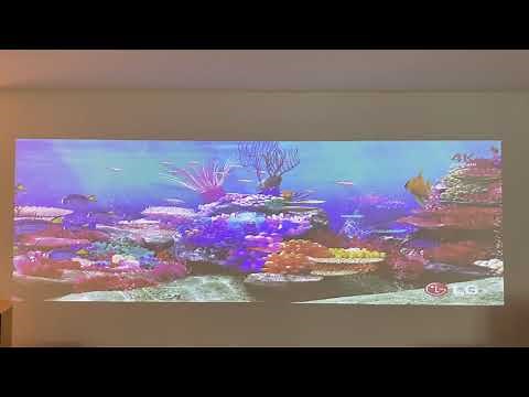 GeoBox UD100 4K projector edge blending and warping (ft. BenQ LK953ST 4K projector)