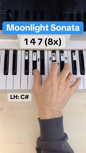 Moonlight Sonata 🎹 Easy Tutorial for Beginners #pianotutorial #beethoven #pianolessons | Keys Beginners