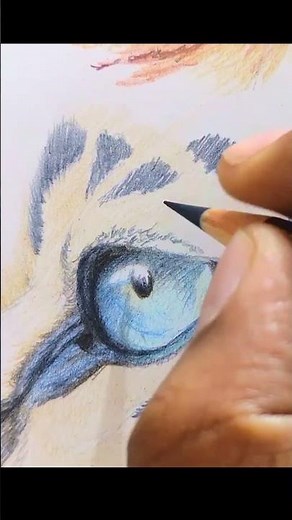 How I Draw Leopard Fur Texture (Satisfying Close-Up)