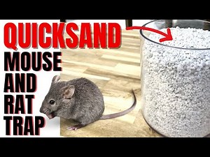 DIY Quicksand Mousetrap | No MOUSE OR RAT Can Escape
