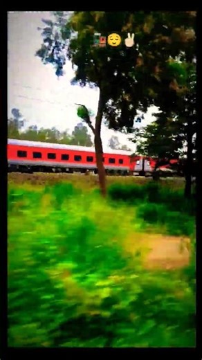nature and their show 🚂 🌿 #love #ytshorts #shorts #train ‪@nandanirocks‬