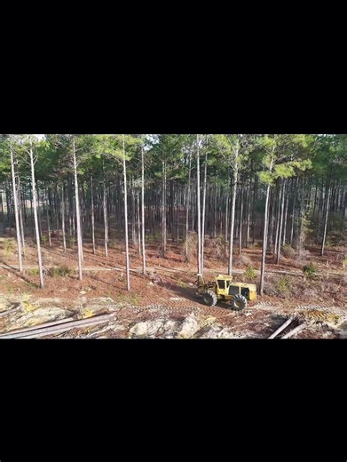 Logging and Land Clearing with DJI and Tigercat
