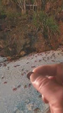 lost buried treasures are in the ground I found a penny