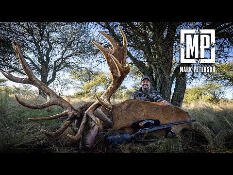 Argentina Red Stag | Mark Peterson Hunting