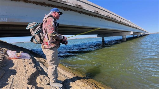Catching dinner under a massive bridge