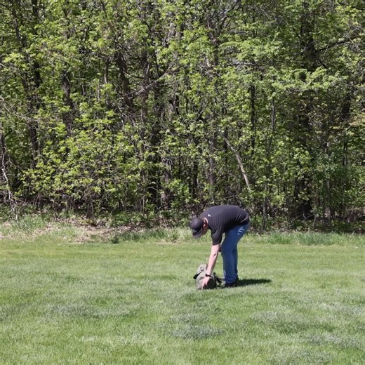 Quick-Set by Clam Traveler Screen Tent Set Up