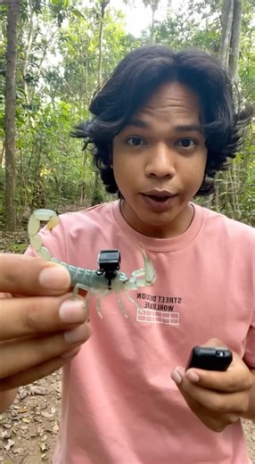 World’s Most Dangerous Transparent Scorpion – Camera Attached!