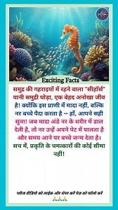 162K views · 560 reactions | #Seahorse #SeahorseFacts #MarineLife...