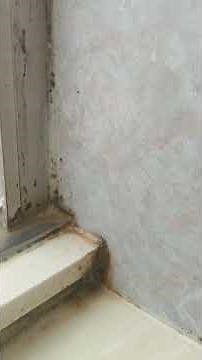 how to clean moldy grout in shower??