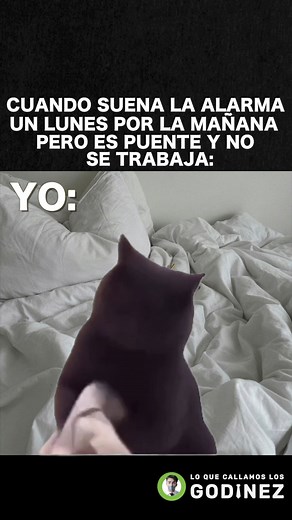 1.1M views · 17K reactions | De los grandes placeres de la vida, no trabajar en lunes. #memes #Oficina #loquecallamoslosgodinez #godinez #humor | Lo que callamos los Godinez | Facebook