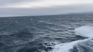 Absolutely nothing stops the Coho ferry between Victoria and Port Angeles! Not even a gnarly wind storm gets in the way of the Queen of the Salish Sea! Matthew Dawson is travelling aboard the ship destined for Port Angeles, and says the wave and wind action is making for quite the crossing. #cohoferry #bcstorm #salishsea #portangeles #yyj #bcstorm #wa | VibrantVictoria