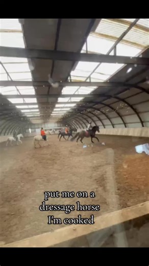 Mastering Dressage and Jumping with Horses