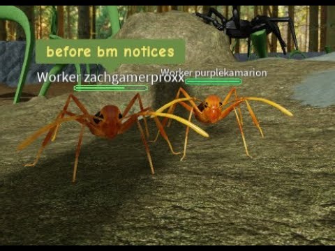 ANT LIFE SOLO RAIDING + funny moments