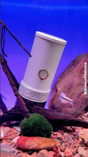 OutIn Mino Portable Espresso Maker: IP67 Waterproof + Freezer Test #outin #espressomachine