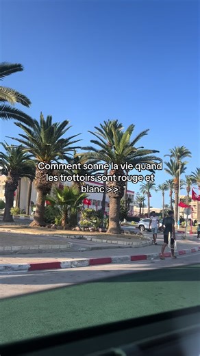 #tunisie #🇹🇳 #niro #pourtoi #prt