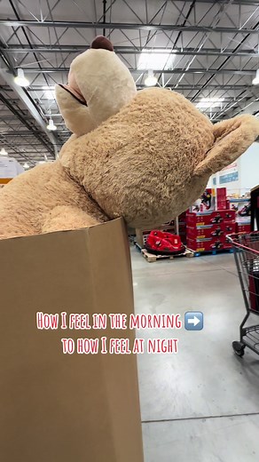 #costco #costcobear #teddy #costcofinds $229