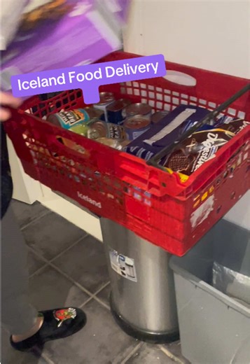 Discover Iceland's Food Delivery Services